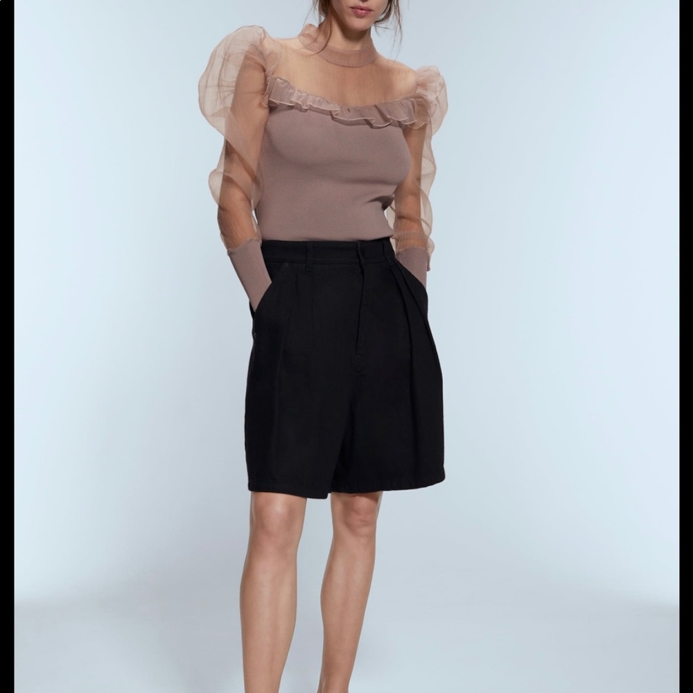 Zara Organza Blouse